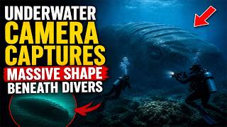 Underwater Camera Captures Massive Shape Beneath Divers