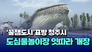 [자막뉴스] '꿀잼도시' 표방 청주시, 초대형 도심물놀이장 잇따라 개장