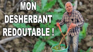 Plus jamais d’herbicides grâce à cette technique EFFICACE !