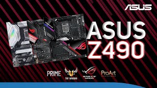 ASUS Z490 Motherboard buyers guide - Covering the full range of Specs \u0026 features before you buy!