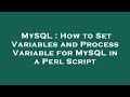 MySQL : How to Set Variables and Process Variable for MySQL in a Perl Script