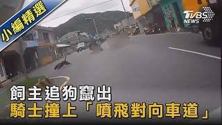 飼主追狗竄出 騎士撞上「噴飛對向車道」｜TVBS新聞 @TVBSNEWS02