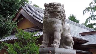 鎮守の社（柴又八幡神社・葛飾区柴又3-30-24）#