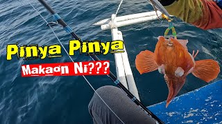 Ruby Snapper and Armored Sea Robin | Slow Pitch Jigging | Fishing in the Philippines