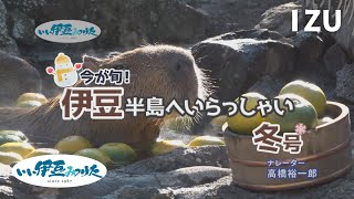 【いい伊豆】今が旬！伊豆半島へいらっしゃい。冬号　後編