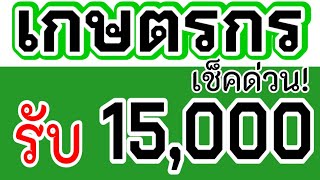 เช็คด่วน! ขั้นตอนเช็คสถานะเกษตรกรง่ายๆ รับ 15,000 บาท