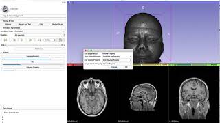SlicerAnimator 2019 08 13
