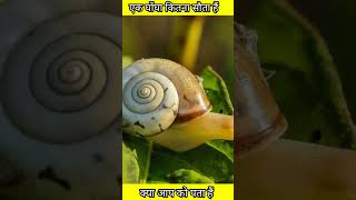 एक घोंघा कितना सौता हैं #amazing #facts #shorts #video #viral #education #new #short #trending