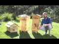 Beekeeping Apprentice Online Beekeeping Course Launch Video