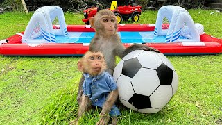 Baby Monkey Bim Bim Plays Float Soccer And Eats watermelon Ice Cream With Puppy In Swimming Pool