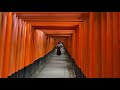 🇯🇵kyoto autumn walk fushimi inari taisha senbon torii 伏見稲荷大社 千本鳥居 【4k 60fps】