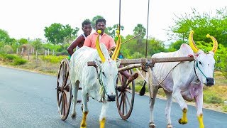 Naduvakurichi periya mattu vandi panthayam recklarace jawahar studio