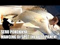 Mancing di Sini Auto Panen Ikan Kakap!! - Angler Kerehore #9