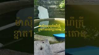 ម៉ាសុីនសូន្យចំណីត្រីខ្នាតកណ្តាល