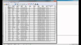 An Introduction to the Lavastorm Analytics Engine