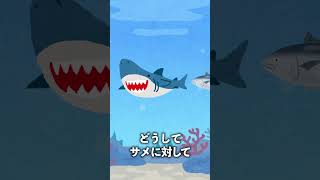 【悲報】サメさん他の魚に舐められていた。