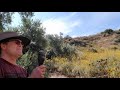 loading and shooting an original british p 1853 three band enfield type rifle