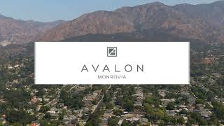 Welcome to Avalon Monrovia