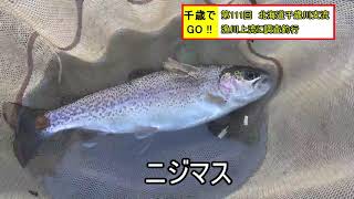 千歳でGO!! 第111回　北海道千歳川支流漁川上流に調査釣行してきました