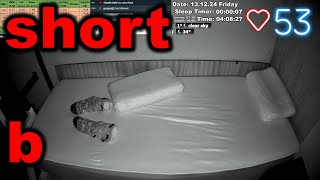 Sleep Stream short 13.12.2024 ssv