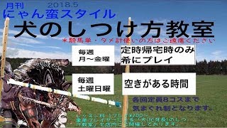 【三国志大戦4・象単動画】   呂布 攻城兵入り 戦  ＃04