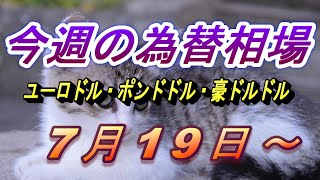 【FX】ユーロドル、ポンドドル、豪ドルドルの為替相場の予想と前日の動きをチャートから解説。7月19日～