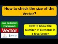 How to check the size of the vector? | Java Collection Framework
