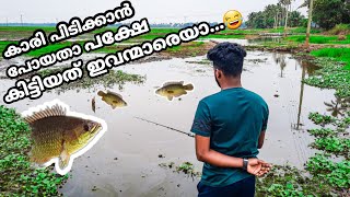 വ്യത്യസ്ത ഇരയും ഒരടിപൊളി കാരി, കല്ലട പിടുത്തവും😍 #anabas_catfish_fishing, #kerala_fishing