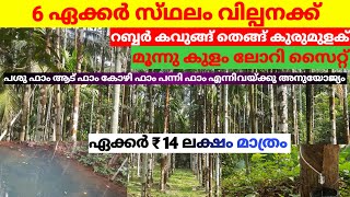 എല്ലാ ആദായവുംഉള്ള 6 ഏക്കർ. ഏക്കർ ₹14 ലക്ഷം മാത്രം / six acre agricultural land acre ₹14 #realestate