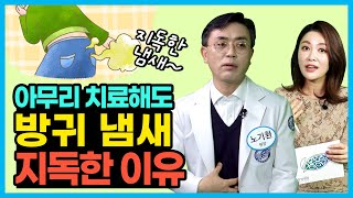 지독한 방귀냄새 ‘과민성장증후군’ 그냥 넘어갈 일 아닙니다. 몸 속에 독소 가득할수도! [위담 담적병상담소]