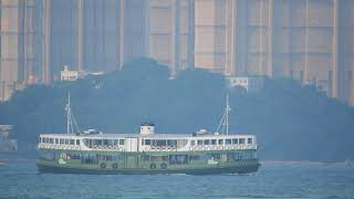 M/V SILVER STAR 銀星 (Diesel-Electric propulsion Green Star Ferry 環保天星小輪)