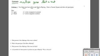 Epistasis Sample Problem 1