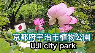 🇯🇵京都府宇治市植物公園🌸春夏秋冬のテーマごとにエリアが分けられていて全部の季節に訪れたくなる場所UJI city park