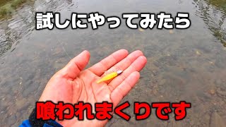 時期関係なく爆釣してるあのリグを放ったら最高に面白かったので使い方をお伝えします【バス釣り】【10月】【11月】【マイクロワインド】【ハネエビ】