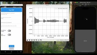 Python Mobile App Development | Kivy VoIP API Demo for Android \u0026 iOS