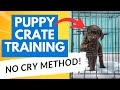 Puppy Crate Training: A No-Cry Method for Restful Nights