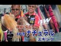 dvd　kubo style vol.1　～ボートエギング完全攻略～　サンプルムービー