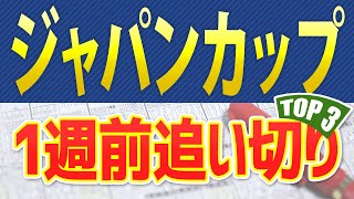 【ジャパンカップ2024】一週前追い切りを全頭診断し高評価だった3頭をシミュレーション🐴 ～JRAジャパンCの現地競馬予想～