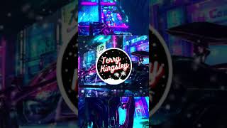 #shorts Lil Nas X - SUN GOES DOWN ( Terry Kingsley Remix )