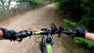 Mountain Biking Down Plymbridge Woods Trails (Blue/Red) and Dartmoor!