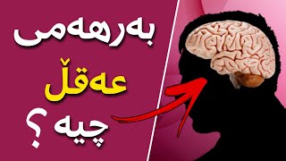 بەرهەمی بەکارهێنانی عەقڵ چیە ؟؟ مامۆستا احمد ملافائق