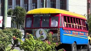 Samoan buses travelling around Apia #samoa #bus #buses #transport #685