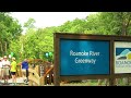 Barnhardt Creek Bridge connects Roanoke River Greenway in Salem and Roanoke