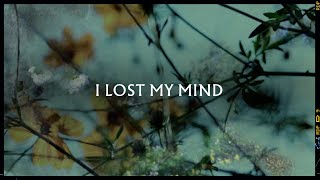 Metronomy - I lost my mind (Lyric Video)