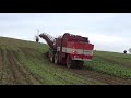 mcgraths beet harvesting agrifac big six