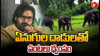 Deputy CM Pawan Kalyan Speech || ఏనుగుల దాడులతో పంటలు ధ్వంసం.. తగిన చర్యలు తీసుకుంటాం || @6TV