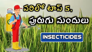 వరిలో టాప్ 5 పురుగు మందులు || Paddy top 5 insecticides || Mana kisan (మన రైతు)