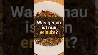 Insekten in Lebensmitteln? Neue EU-Regel erlaubt Insektenpulver im Essen #shorts