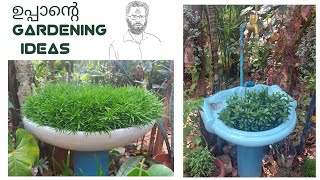 Gardening ideas using old things/പാഴ് വസ്തുക്കൾ കൊണ്ട് ഗാർഡൻ ഭംഗി ആക്കാം/gardening using waste items