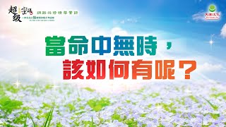 當命中無時，該如何有呢？｜太陽盛德導師–超級生命密碼網路共修